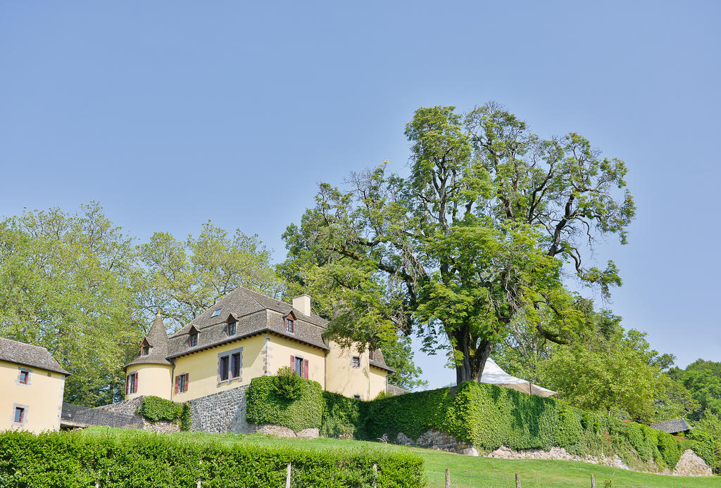 Chateau De Salles Vézac Exterior foto